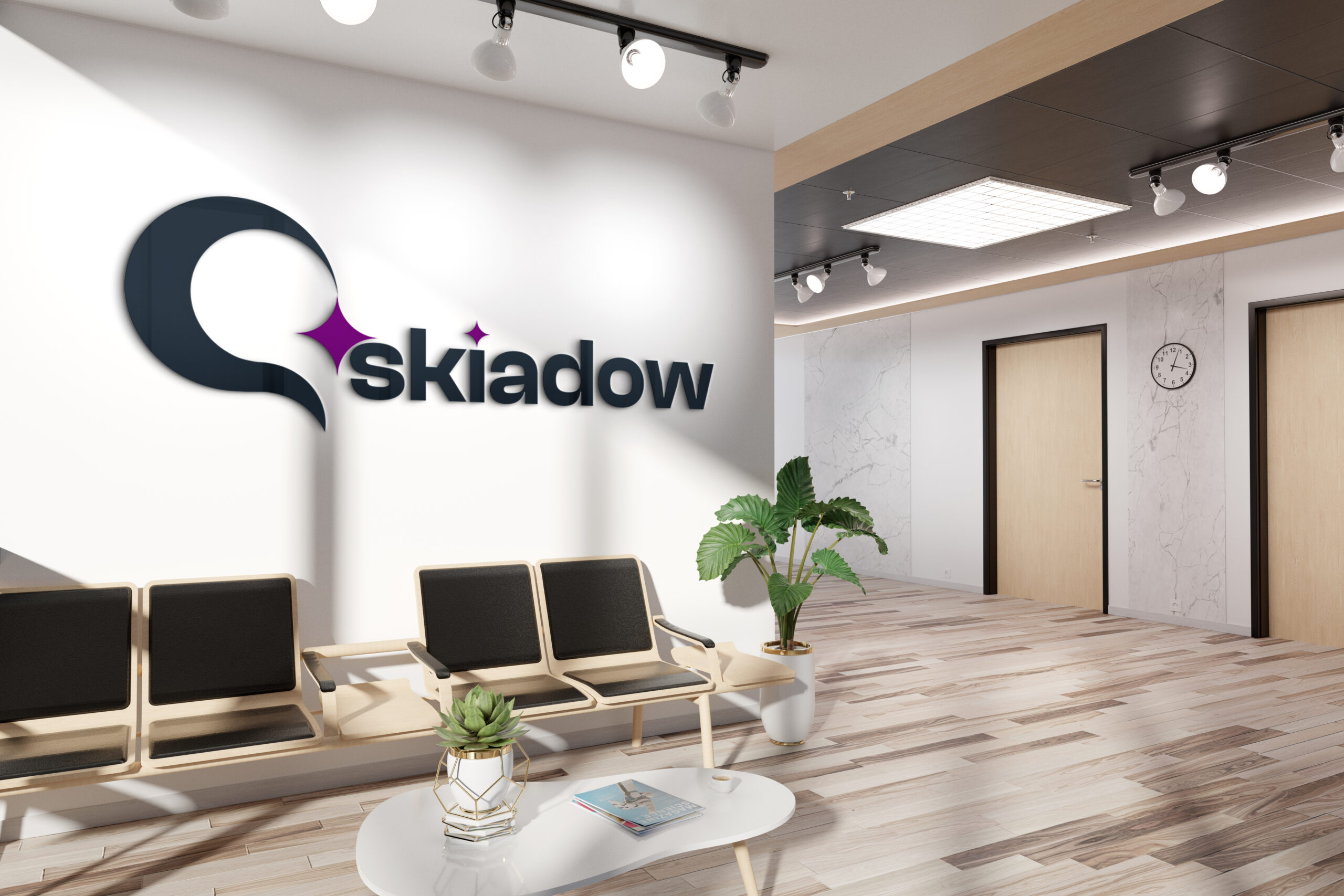 Skiadow's dynamic digital marketing agency office